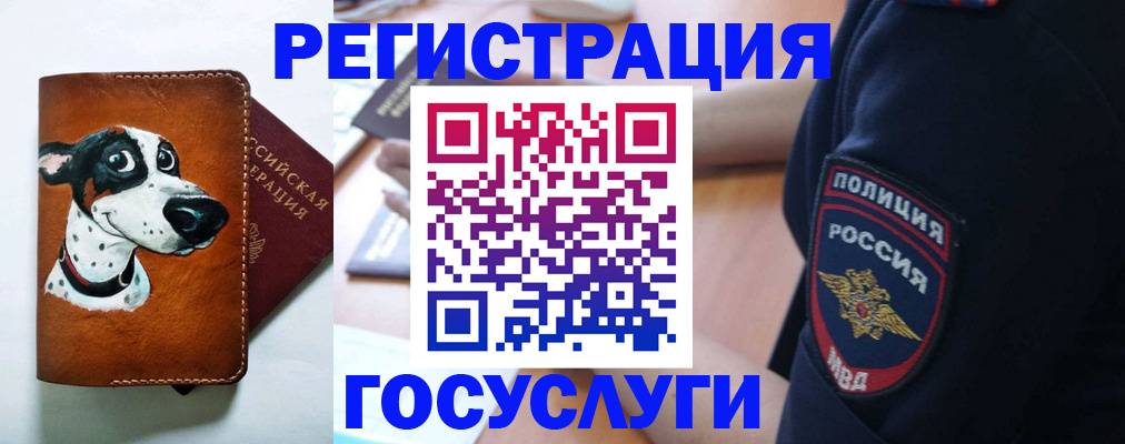 временная регистрация в квартире в Краснодаре